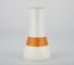 Skincare die van het Glas Kosmetische Flessen van 120ml MSDS OEM van de Roomkruiken verpakken